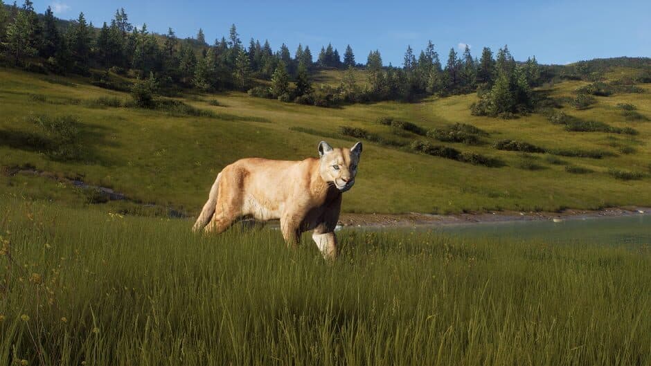 Скриншот 10 из Way of the Hunter: Elkcrest Island