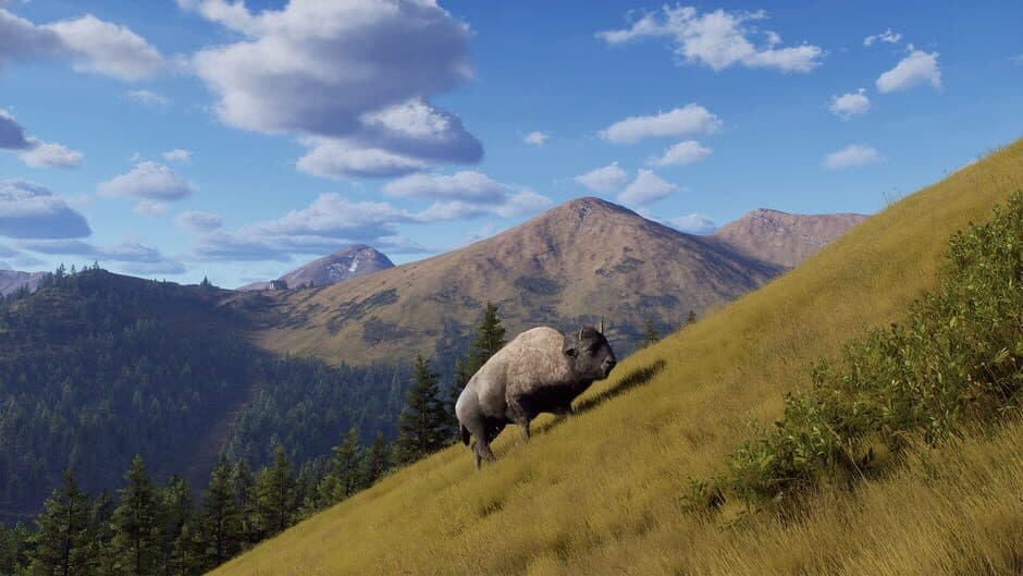 Скриншот 11 из Way of the Hunter: Elkcrest Island