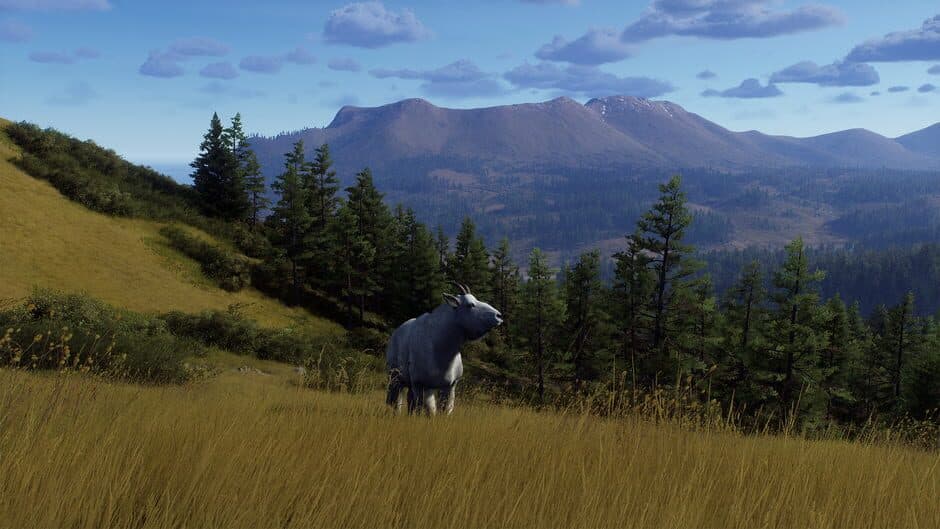 Скриншот 12 из Way of the Hunter: Elkcrest Island