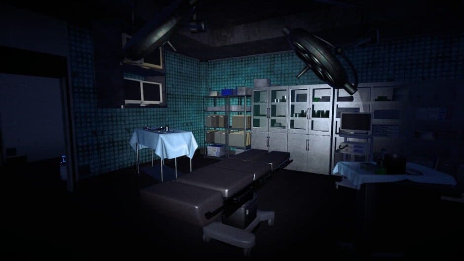 Скриншот 11 из The Organ Woman