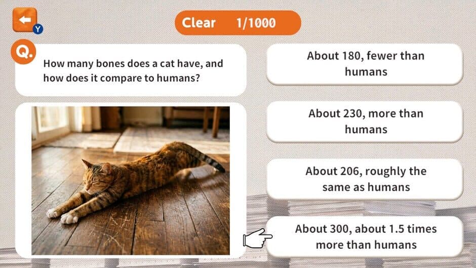 Скриншот 1 из 1000 Questions to Be Chosen by the Cat Lord