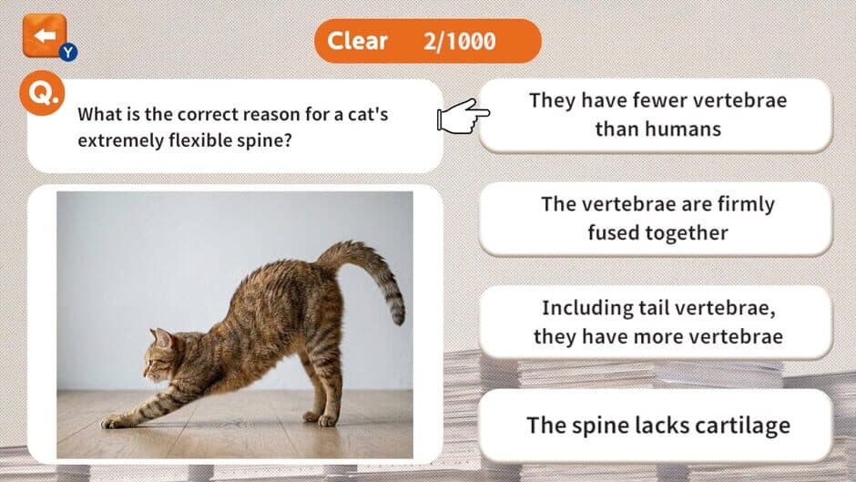 Скриншот 2 из 1000 Questions to Be Chosen by the Cat Lord