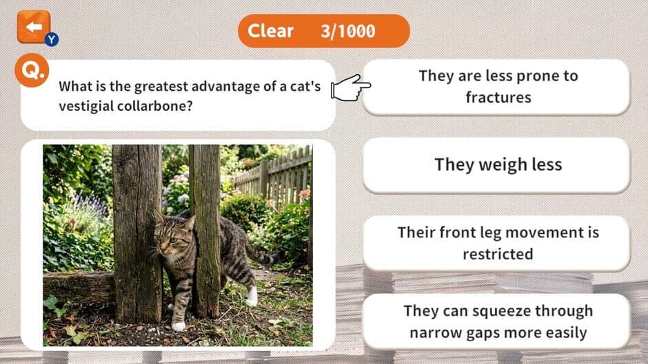 Скриншот 3 из 1000 Questions to Be Chosen by the Cat Lord