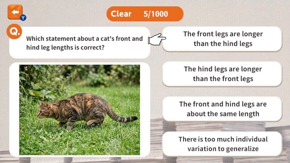 Скриншот 4 из 1000 Questions to Be Chosen by the Cat Lord