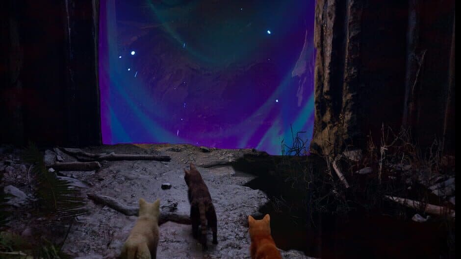 Скриншот 3 из Meowmories