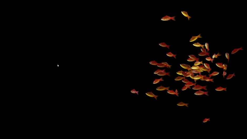 Скриншот 5 из Goldfish Simulator