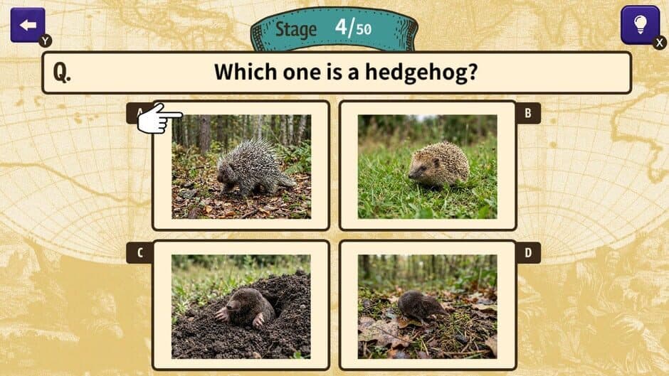 Скриншот 4 из Can You Make the Cut? Worldwide Common Sense Check