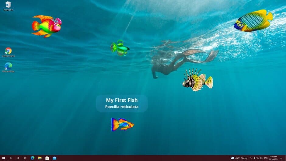 Скриншот 1 из Virtual Aquarium