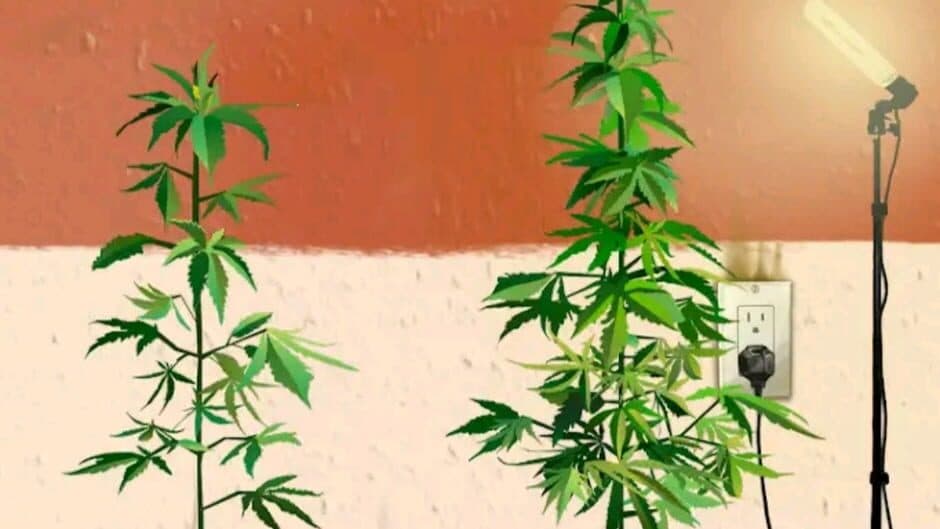 Скриншот 2 из Weed Firm: Replanted