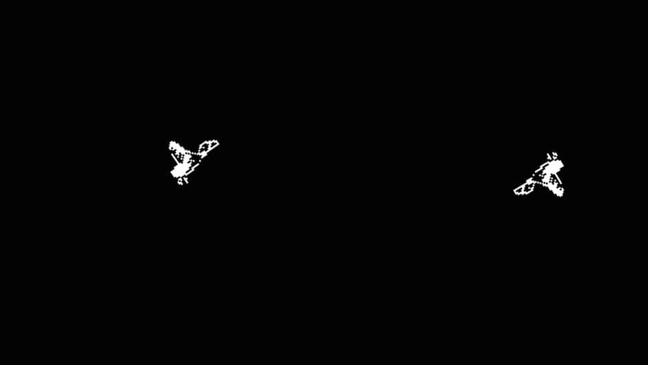 Скриншот 3 из Bird-Shot