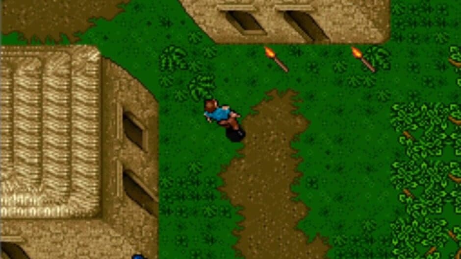 Скриншот 1 из Ultima: The Savage Empire