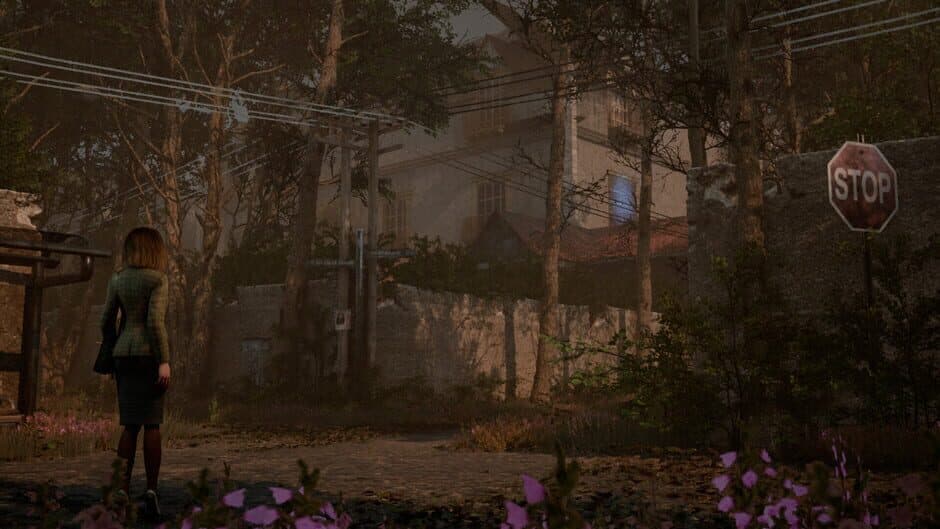 Скриншот 8 из Remothered: Tormented Fathers Remastered