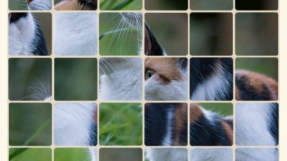 Скриншот 3 из SlideGrid