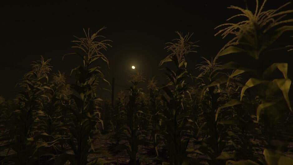 Скриншот 2 из Cornfield