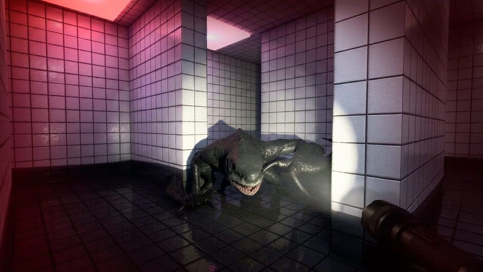Скриншот 1 из Backrooms: Premium Edition