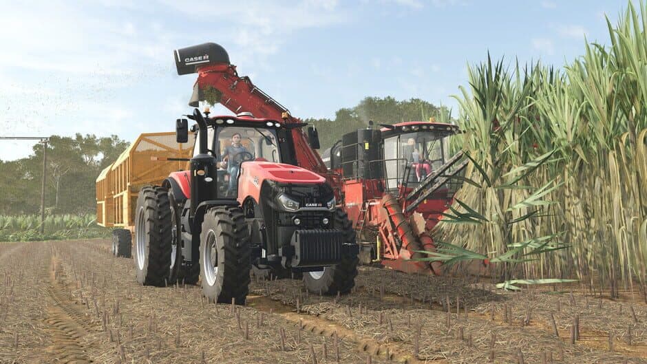 Скриншот 4 из Farming Simulator 25: Beans & Alpacas Expansion