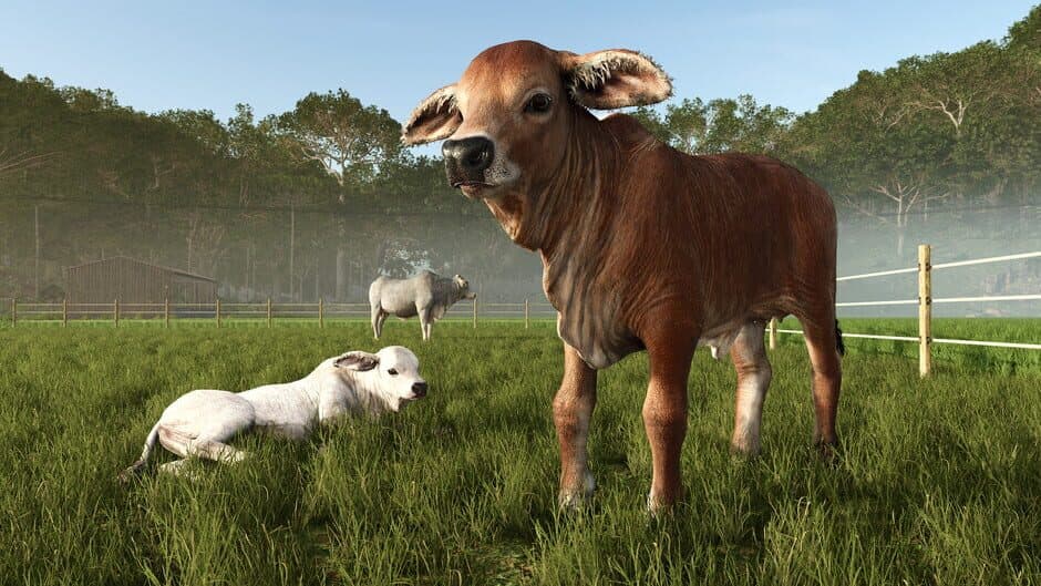Скриншот 2 из Farming Simulator 25: Beans & Alpacas Expansion