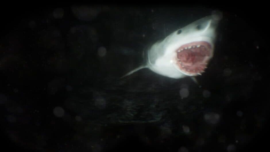 Скриншот 5 из Scary Cave Diving