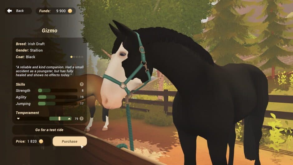 Скриншот 5 из Fernhoof Grove: Riding Academy