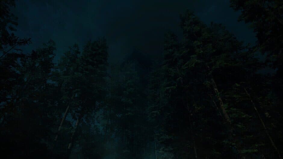Скриншот 3 из Forest Lookout