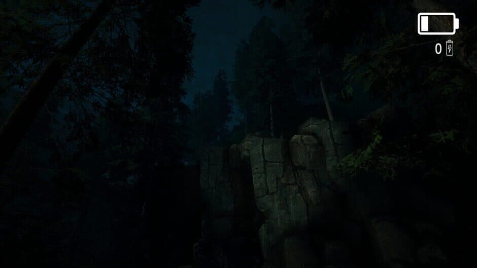 Скриншот 4 из Forest Lookout