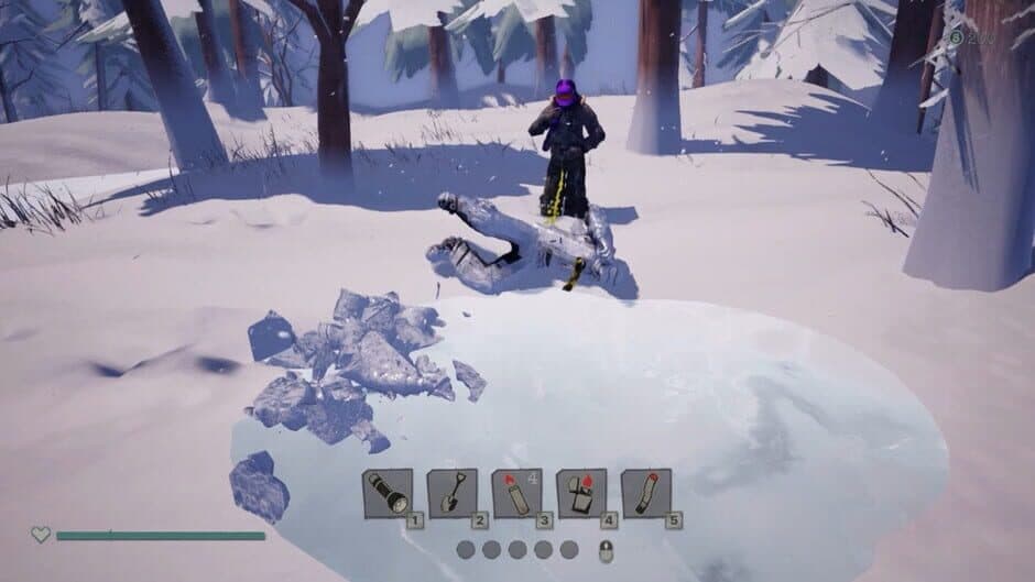 Скриншот 10 из SnowJob