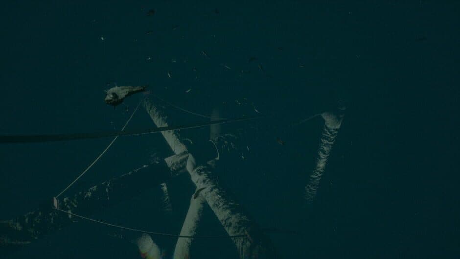 Скриншот 1 из Dark of the Depths