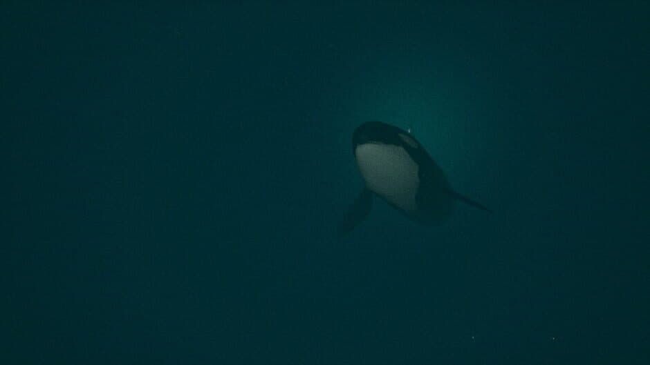 Скриншот 3 из Dark of the Depths