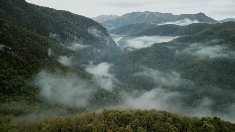 Скриншот 4 из Wordless Forest