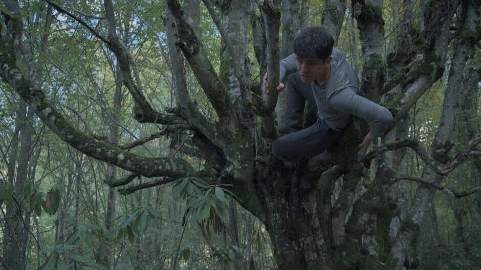 Скриншот 6 из Wordless Forest
