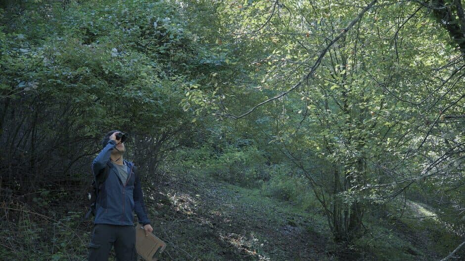Скриншот 9 из Wordless Forest