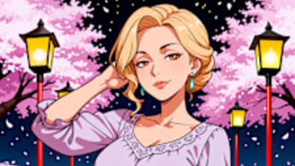 Скриншот 1 из Hidden Girls: Private Nights