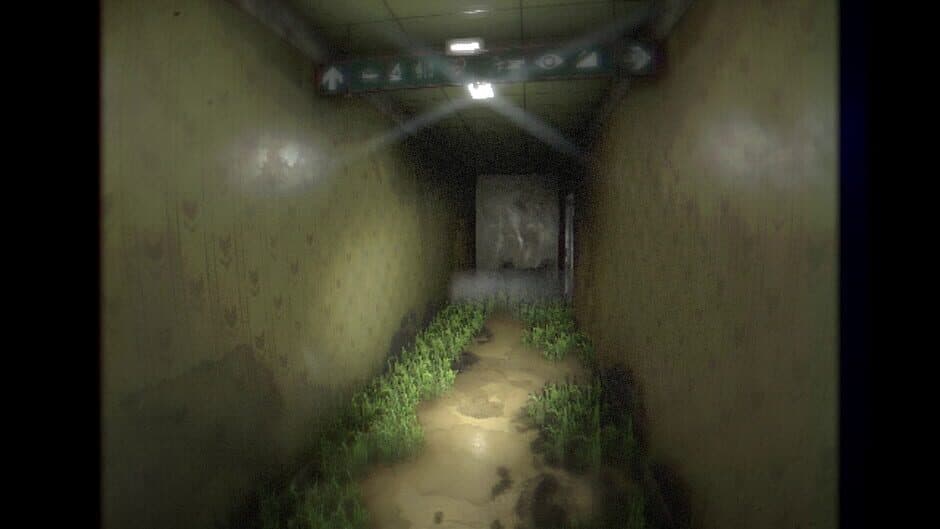 Скриншот 8 из Backrooms: Primal