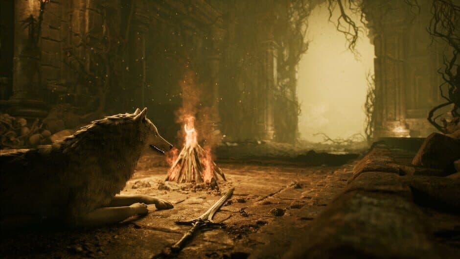 Скриншот 4 из Stray Dog: Nobody Cares