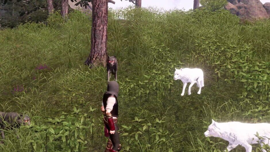 Скриншот 10 из The Last Elf