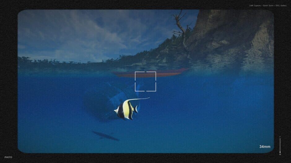 Скриншот 7 из Kayak Photography Sim