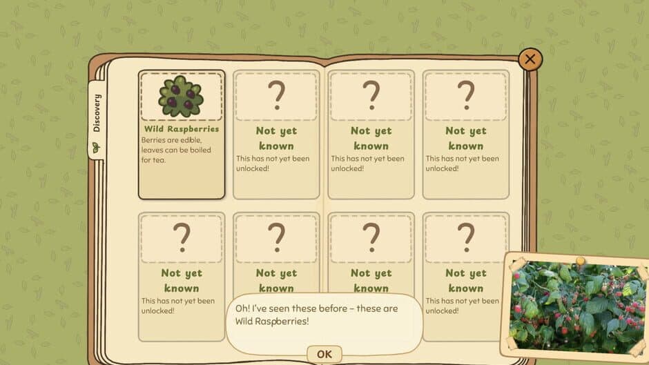 Скриншот 5 из Grandma's Guide to the Grand Outside