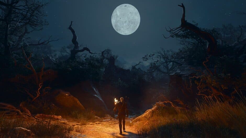 Скриншот 4 из The Witcher 3: Wild Hunt - Songs of the Past