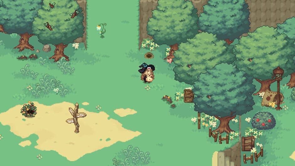 Скриншот 5 из Little Witch in the Woods