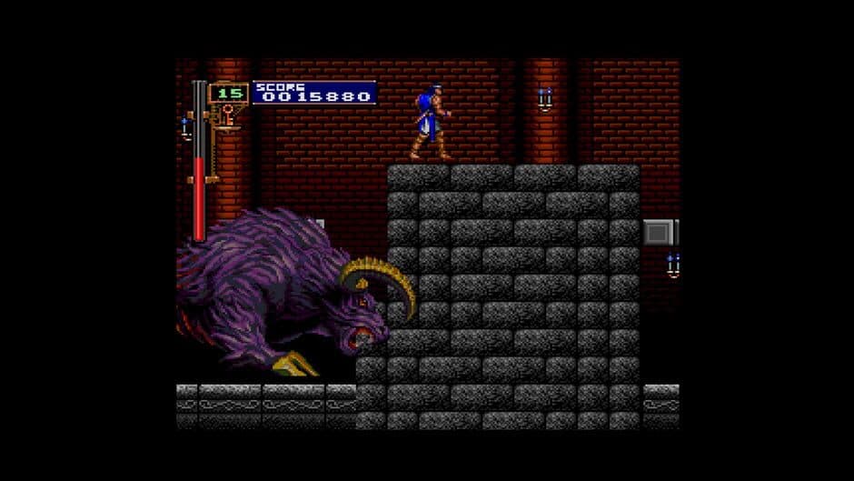 Скриншот 10 из Castlevania Requiem: Symphony of the Night & Rondo of Blood