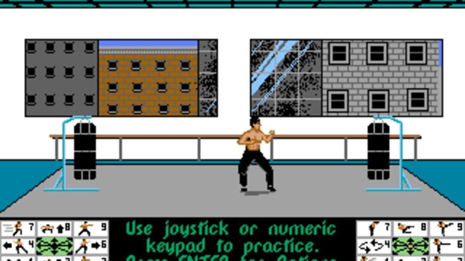 Скриншот 2 из Bruce Lee Lives: The Fall of Hong Kong Palace