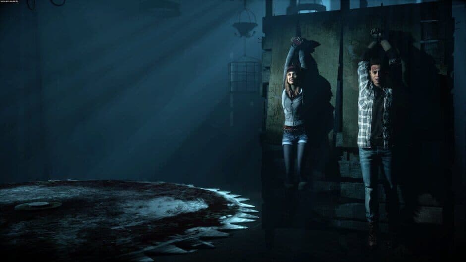 Скриншот 10 из Until Dawn