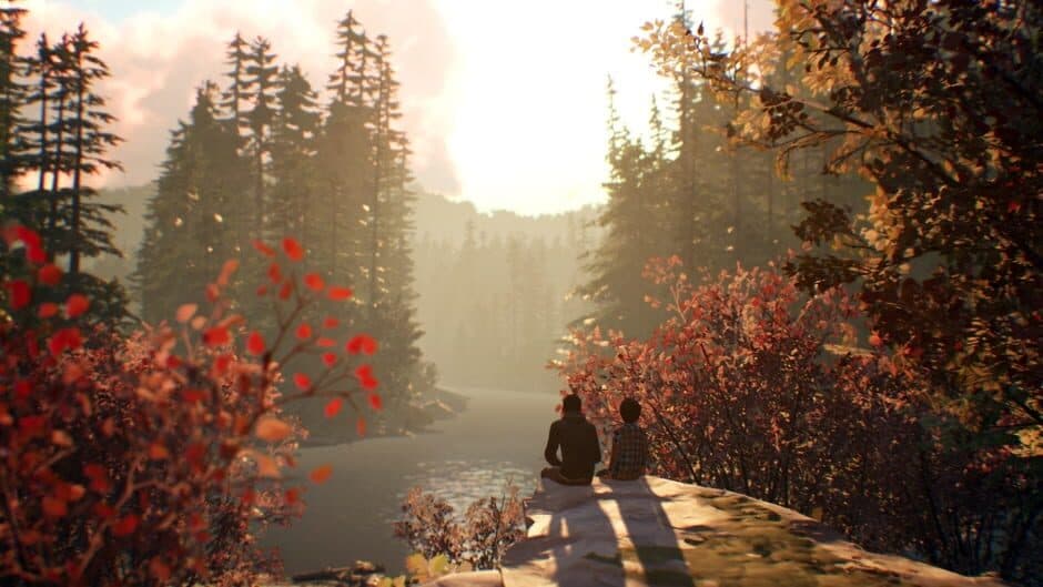 Скриншот 1 из Life is Strange 2: Episode 1 - Roads