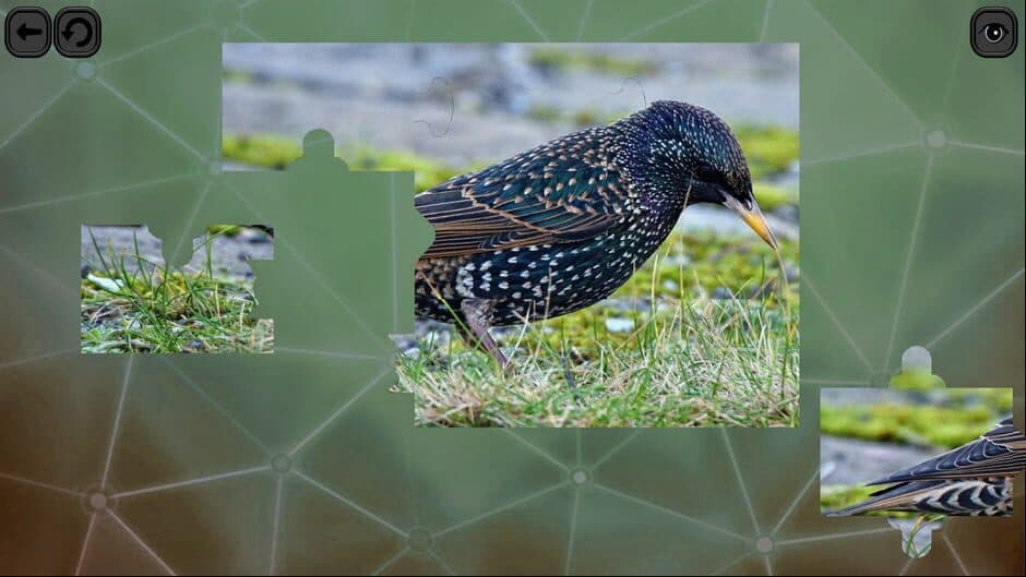 Скриншот 2 из Puzzles for Smart: Birds