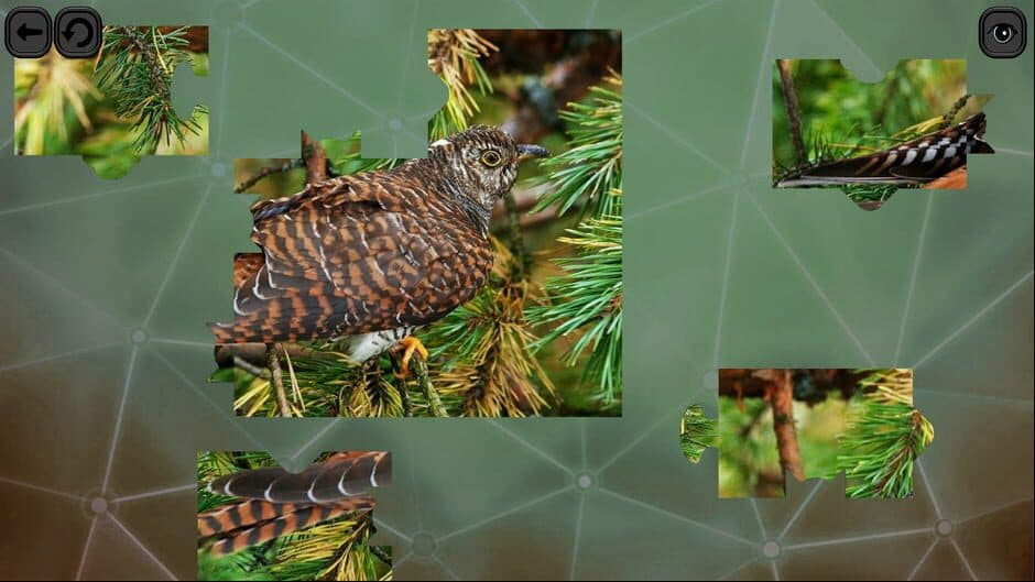 Скриншот 5 из Puzzles for Smart: Birds