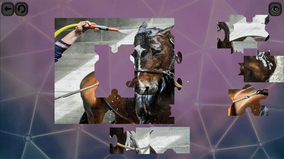 Скриншот 5 из Puzzles for smart: Horses