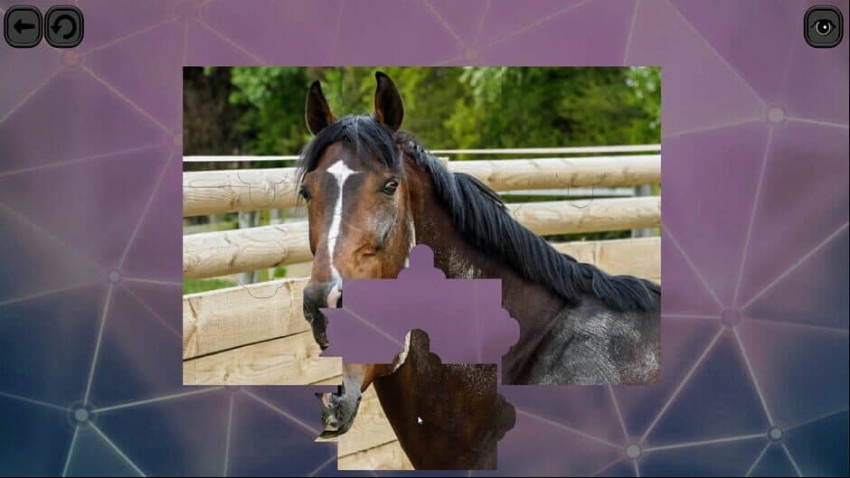 Скриншот 1 из Puzzles for smart: Horses