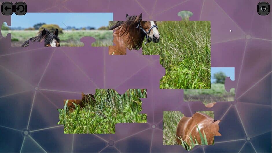 Скриншот 4 из Puzzles for smart: Horses