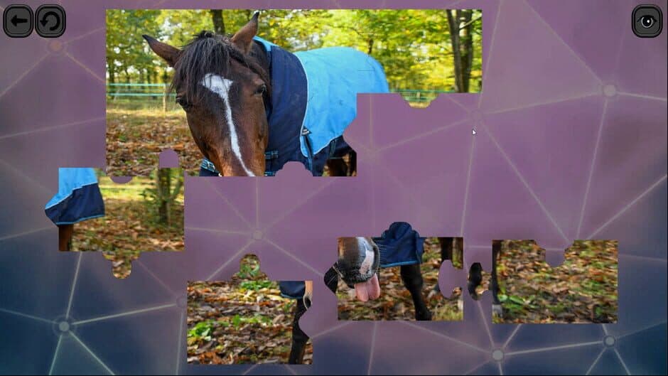 Скриншот 3 из Puzzles for smart: Horses