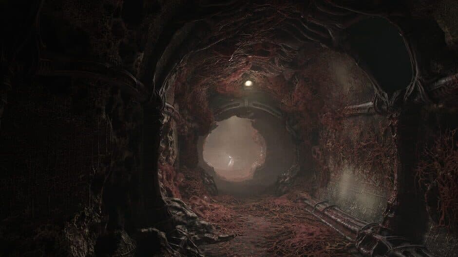 Скриншот 6 из Scorn